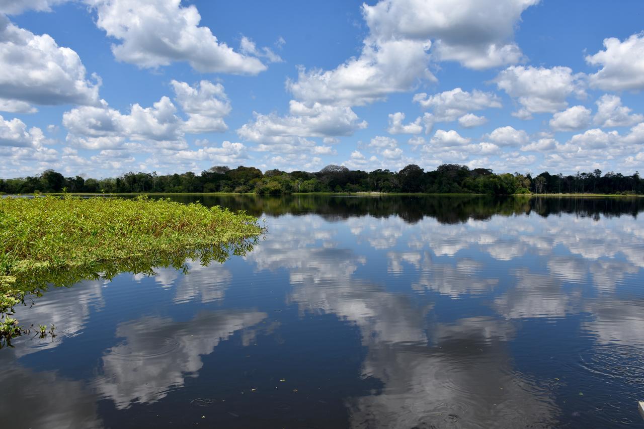 Yaku Amazon Lodge & Expeditions Paraíso Eksteriør billede